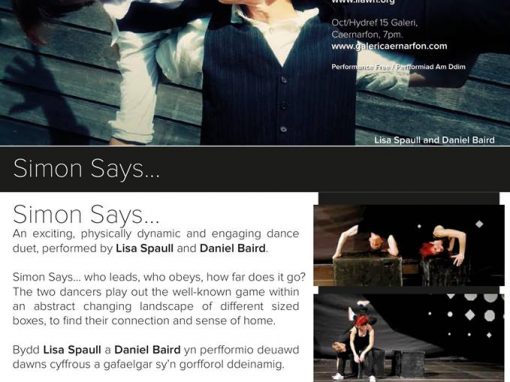 Simon Says Autumn 2013 Tour