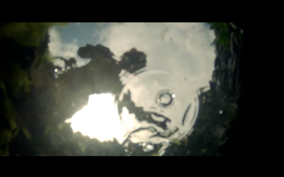 Dance Film selected for Festival