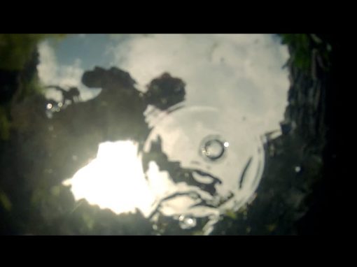 Dance Film selected for Festival