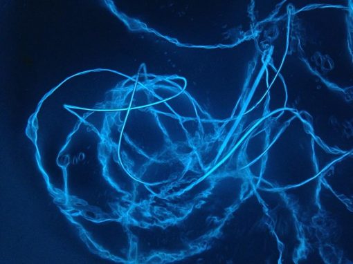 Jellyheads at Wet Sounds