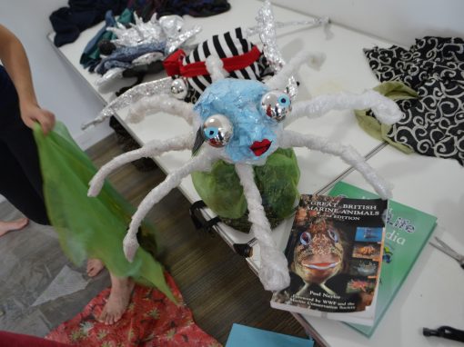 Short Documentary for Family Dance Project