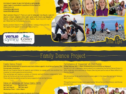 Family Dance Project 2015